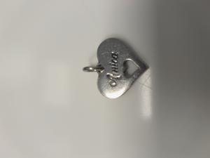 CS535/2024  SILVER CHARM